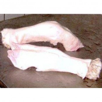 TORRAS AYAK TEMİZLEME MAKİNESİ P 500